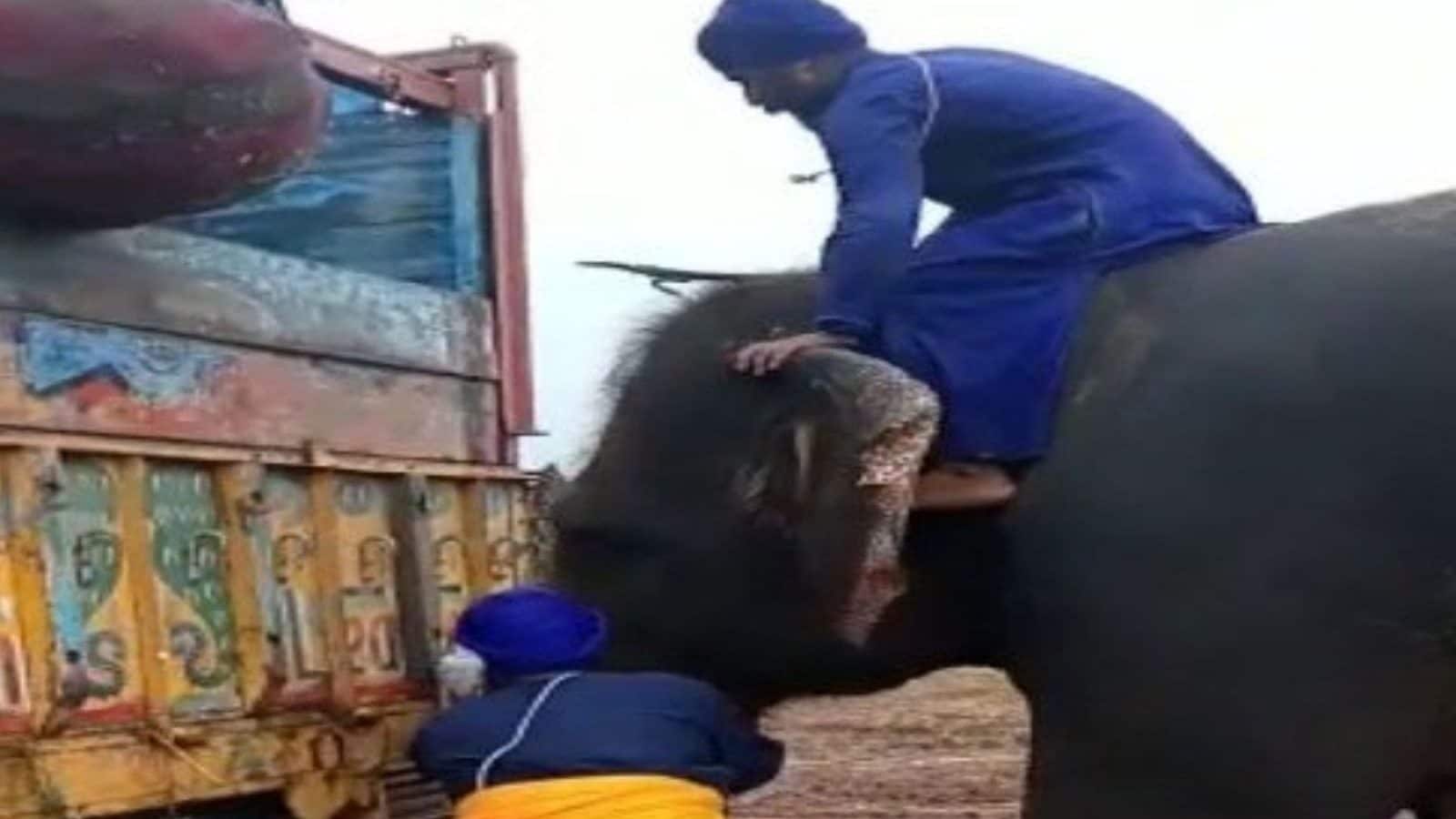 மத்தியப்பிரதேசத்தில் சேற்றில் சிக்கிய லாரியை மீட்ட யானை - வைரலாகும் வீடியோ!