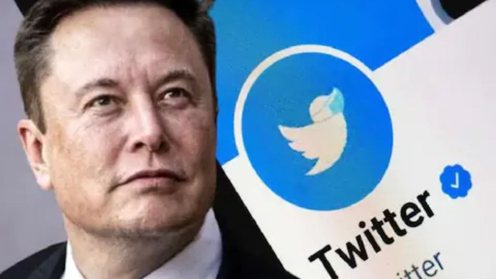 ட்விட்டர் நிறுவனத்தில் 75 சதவீத ஊழியர்கள் பணி நீக்கம்? - எலன் மஸ்க் விளக்கம்!