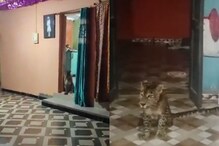 வீட்டின் கதவைத் திறந்தவர்களுக்குக் காத்திருந்த அதிர்ச்சி!