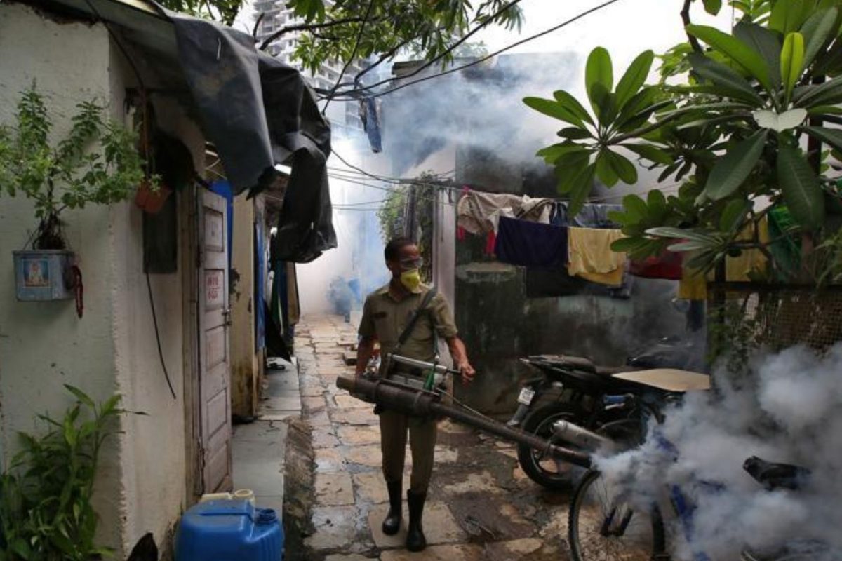 டெங்கு தடுப்பு பணிகள் தீவிரம்… வாரத்துக்கு 2,000 கொசுக்களை பரிசோதனை செய்யும் சுகாதாரத்துறை!