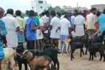 மணப்பாறையில் களைகட்டிய ஆட்டு சந்தை..  ரூ.80 லட்சத்துக்கு விற்பனை