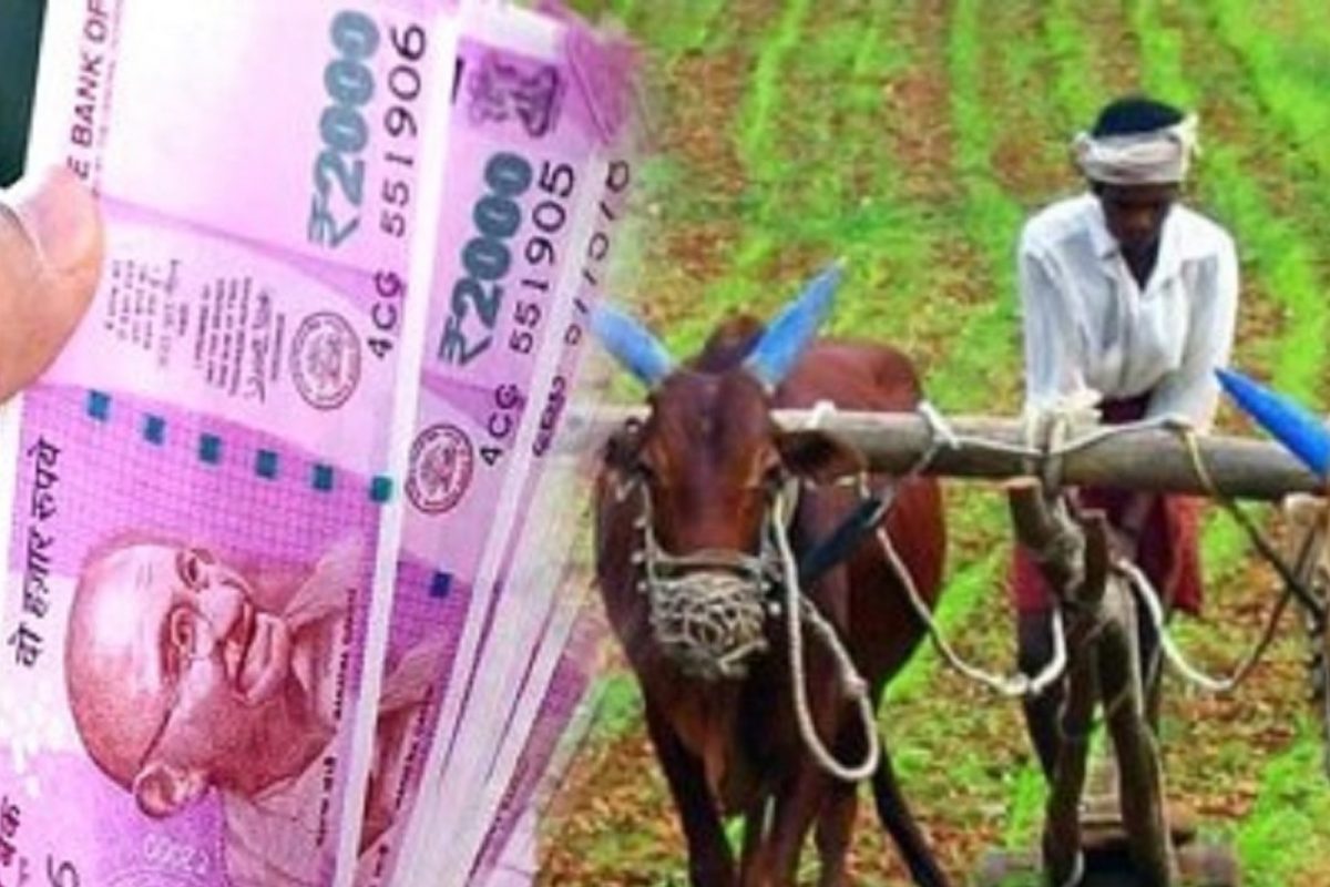 பி.எம் கிசான் 