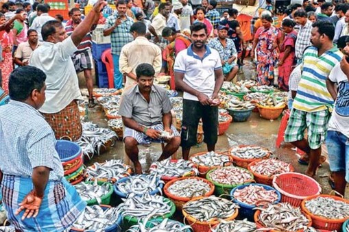 காசிமேடு மீன் சந்தை