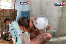 கொசுக்களை பிடித்து அரைத்து PCR டெஸ்ட்... டெங்கு ஒழிப்பில் அரசுதீவிரம்