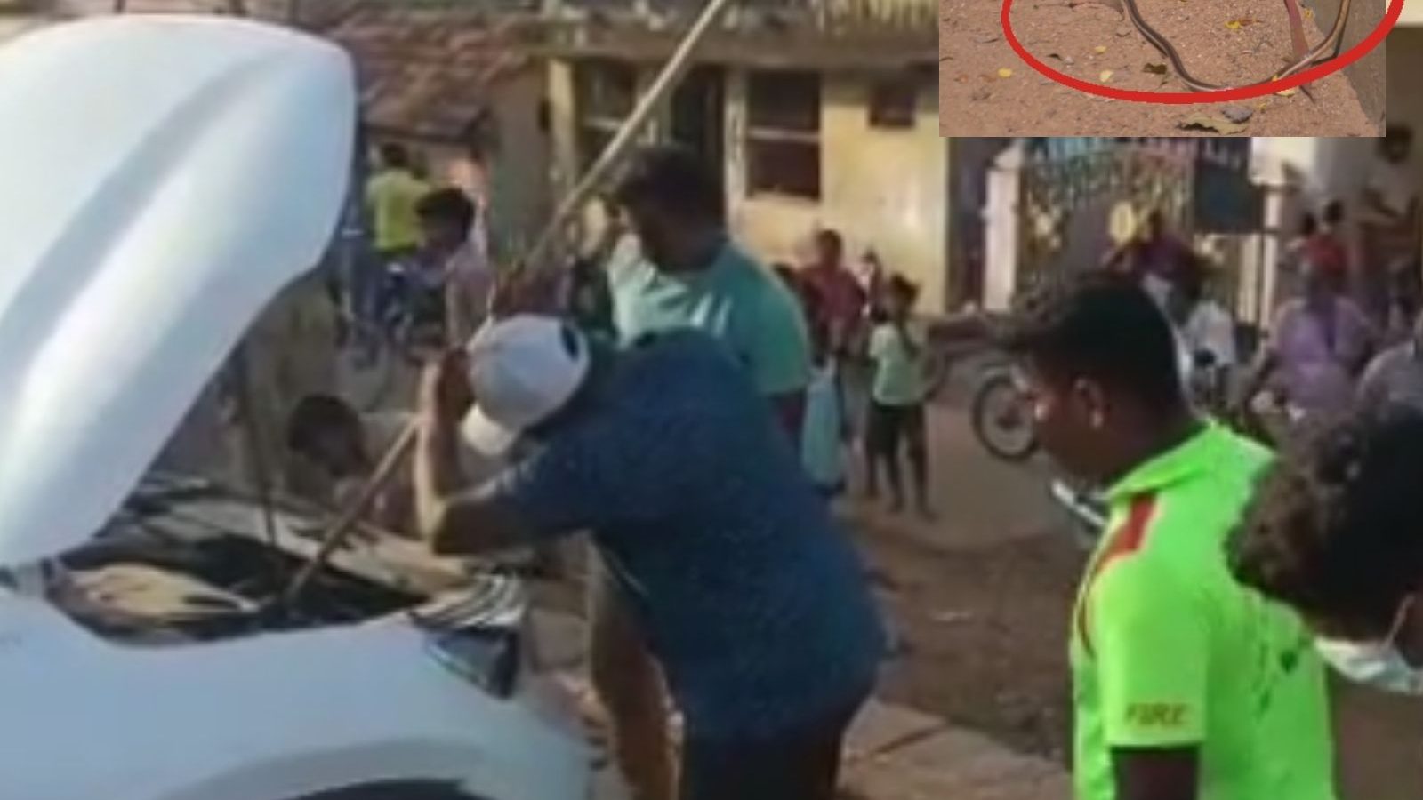 காருக்குள் புகுந்த 5 அடி நீள பாம்பு..! அரை மணி நேர போராட்டத்திற்கு பிறகு மீட்பு..!