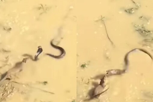 ராஜ ராகத்தைப் புரட்டிப் போட்ட கீரிப் பிள்ளை