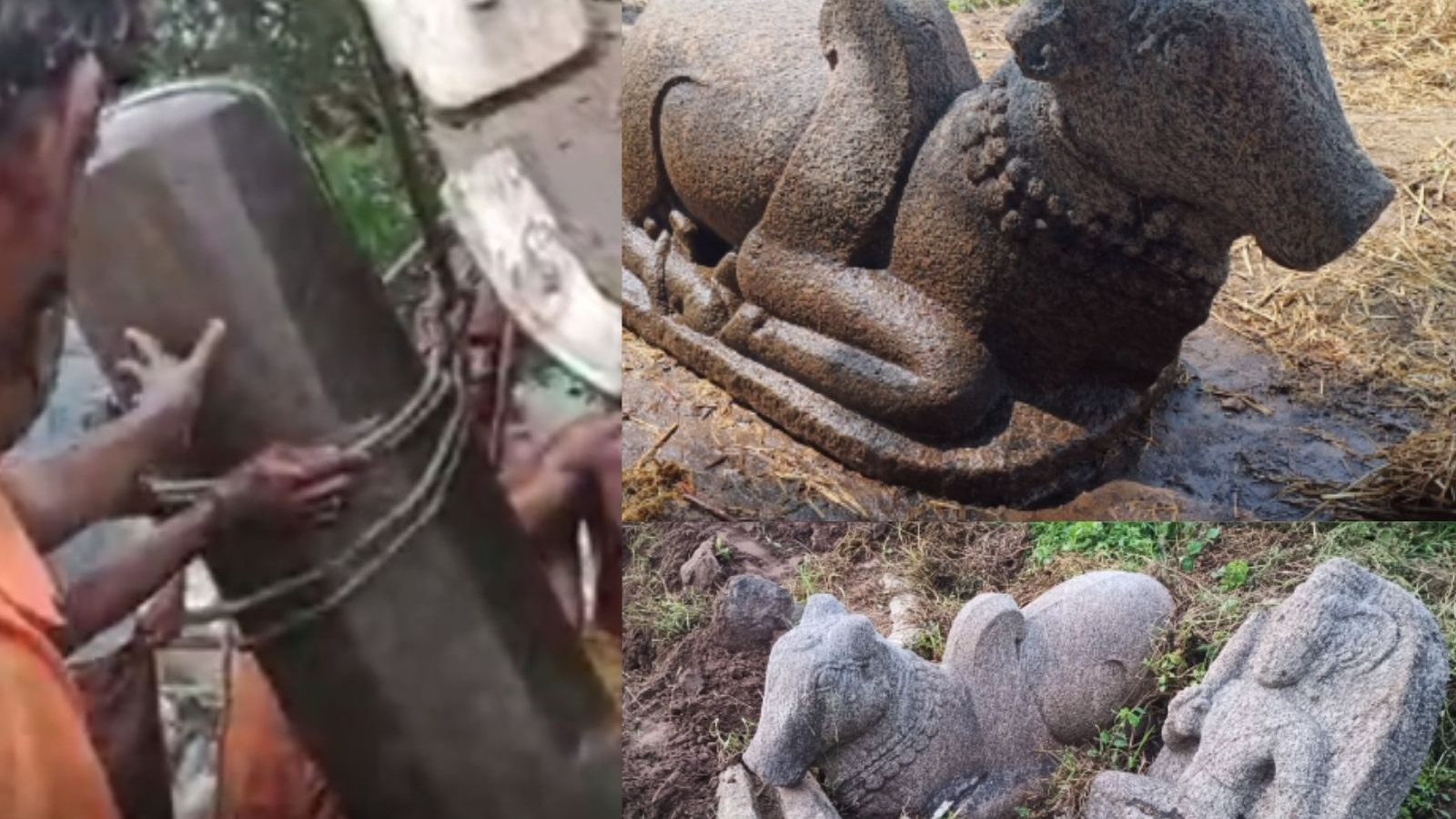 பழத்தோட்டத்தில் கிடைத்த 1000 ஆண்டுகள் பழமைவாய்ந்த சிவலிங்கம், நந்தி சிலைகள்.!