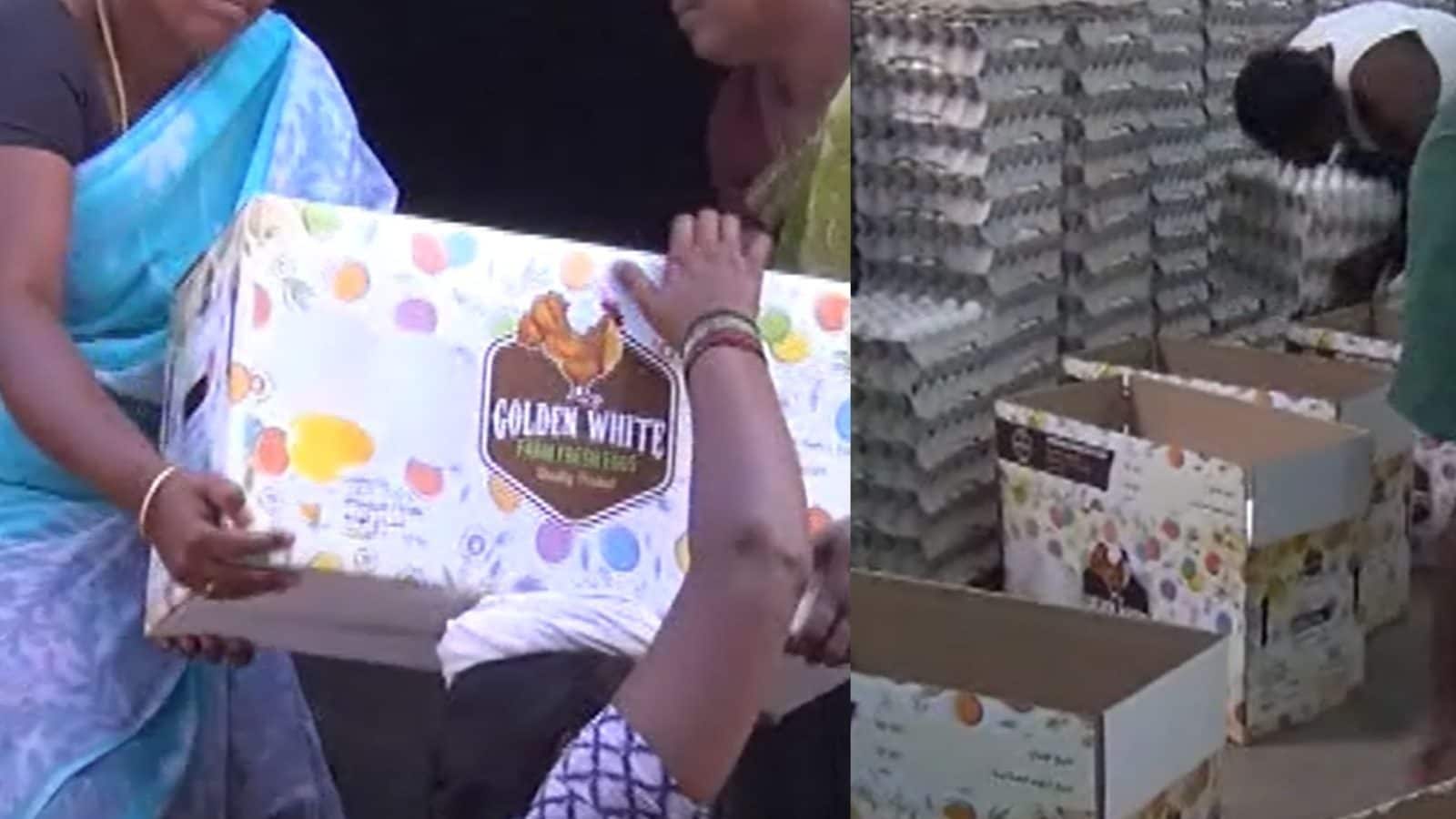 உலகக்கோப்பை கால்பந்து.. கோடிகோடியாக கத்தாருக்குச் செல்லும் நாமக்கல் முட்டைகள்!