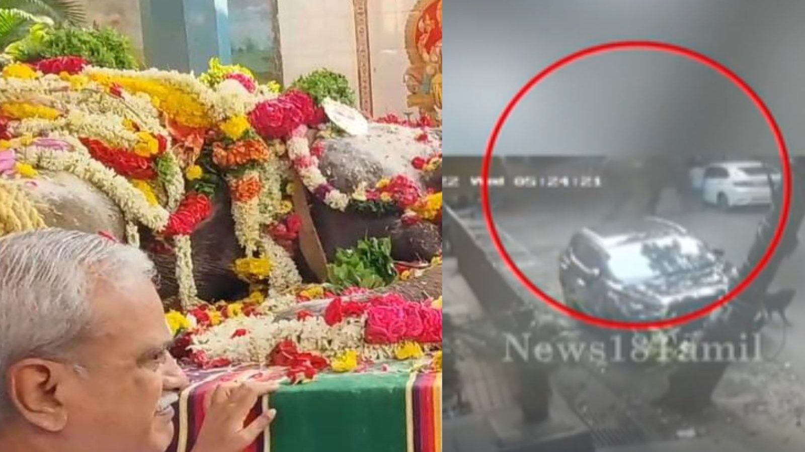 கால் தளர்ந்தது.. சரிந்தது.. மணக்குள விநாயகர் கோயில் யானையின் கடைசி நிமிடங்கள்... சிசிடிவி வீடியோ!