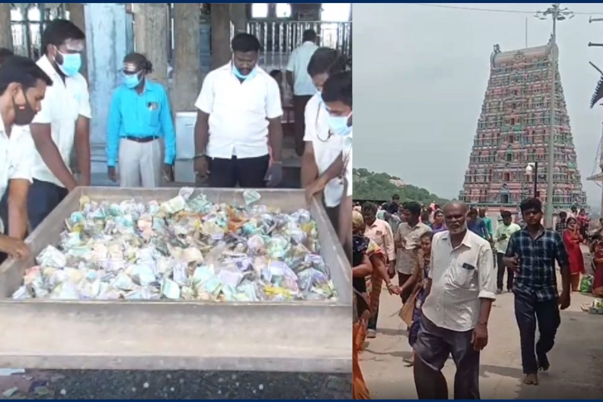 அரை கிலோ தங்கம்.. 5 கிலோ வெள்ளி!திருத்தணி கோயிலில் உண்டியல் காணிக்கை
