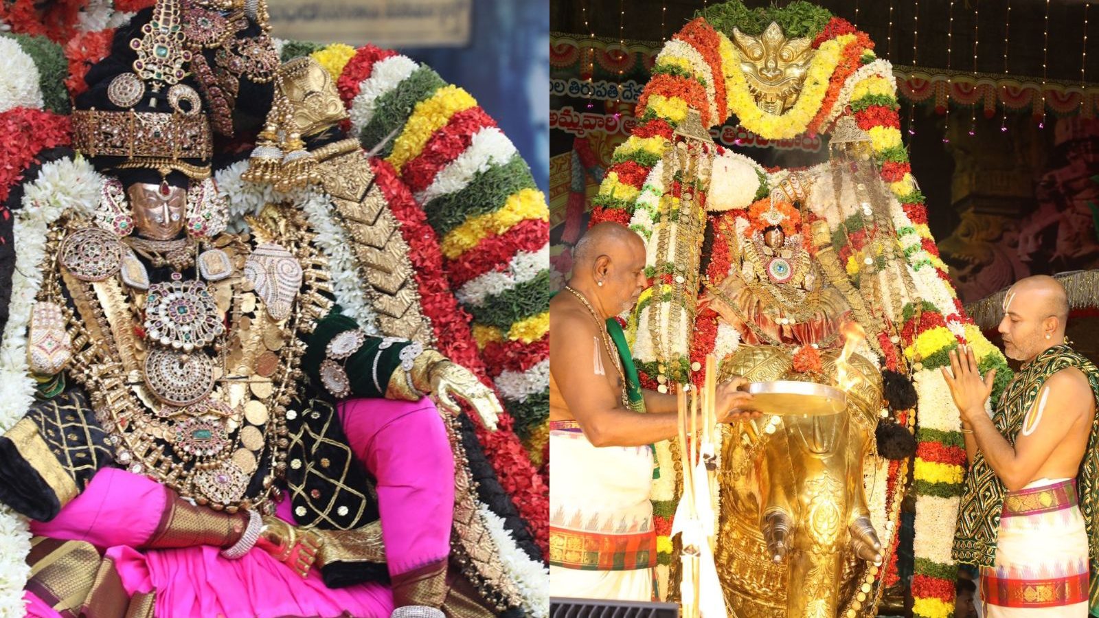 திருப்பதி: திருச்சானூர் கார்த்திகை பிரம்மோற்சவம்... இரவு கஜவாகான சேவையில் எழுந்தருளிய பத்மாவதி தாயார்!