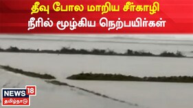 தீவு போல் மாறிய சீர்காழி.. நீரில் மூழ்கிய நெற்பயிர்கள் - விவசாயிகள் வேதனை