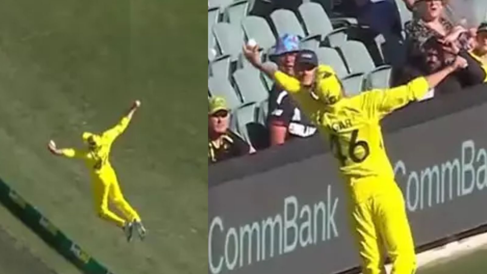 இதல்லவோ கேச்....பவுண்டரி லைனில் பறந்து, பாய்ந்து 'பீல்டிங்' செய்த ஆஸ்திரேலிய வீரர்!