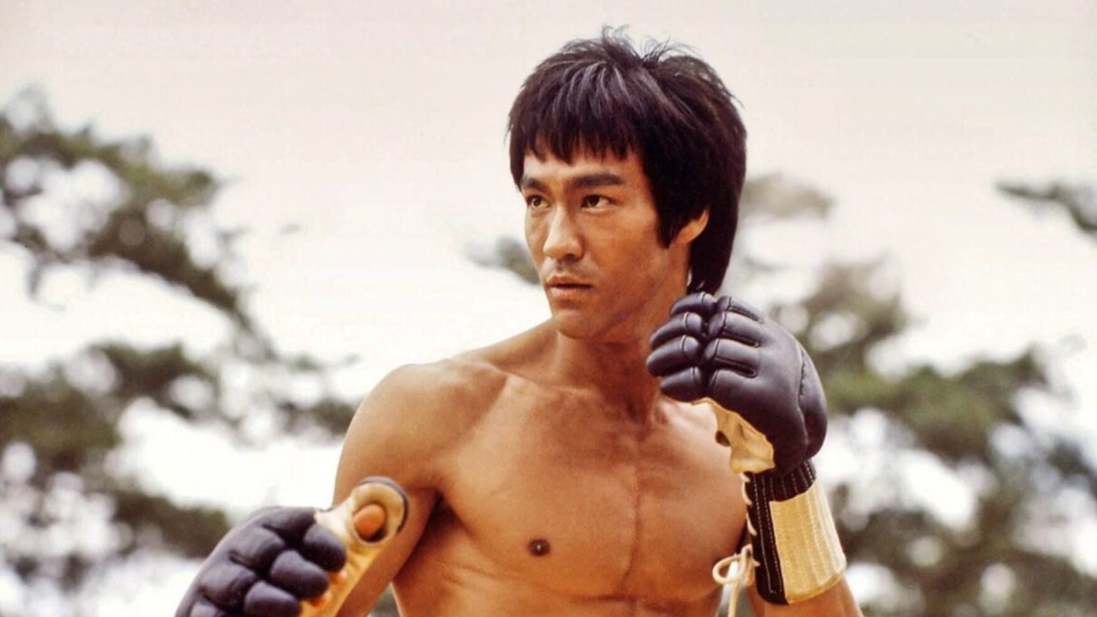 அதிக தண்ணீர் குடித்ததுதான் புரூஸ் லீ இறப்புக்கு காரணமா..? 50 ஆண்டுகளுக்கு பின் வெளியான ஆய்வு..!