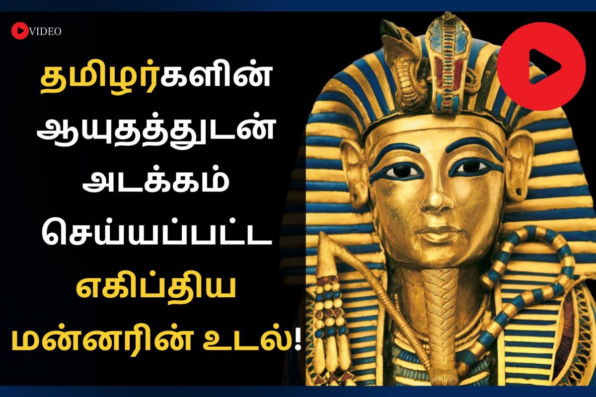 தமிழர்களின் ஆயுதத்துடன் அடக்கம் செய்யப்பட்ட எகிப்திய மன்னரின் உடல்!