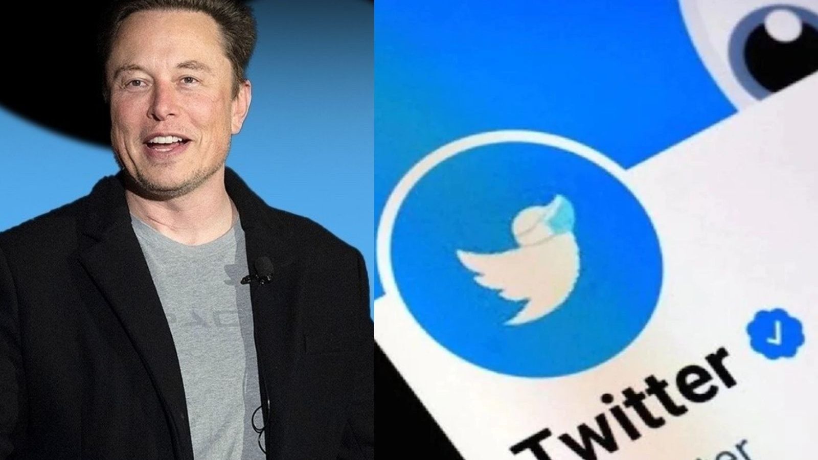 ட்விட்டரில் புளூ டிக் சேவை குறித்த அடுத்த அதிரடி அறிவிப்பை வெளியிட்ட எலான் மஸ்க்