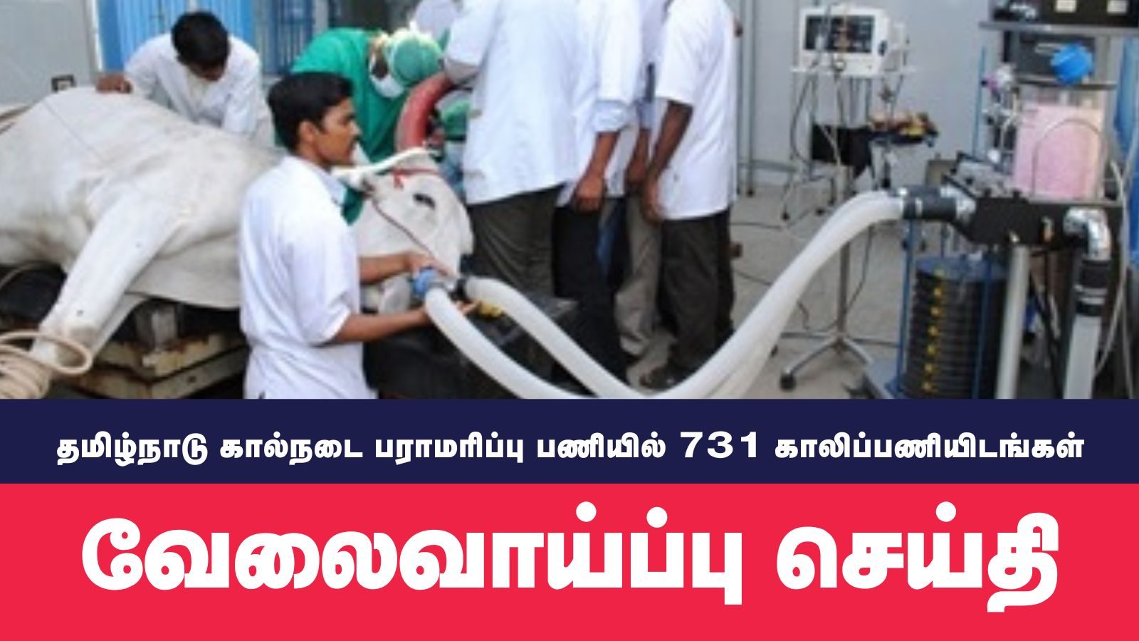 தமிழக கால்நடை துறையில் 731 காலிப்பணியிடங்கள்... டிஎன்பிஎஸ்சி அறிவிப்பு.. இன்று முதல் விண்ணப்பிக்கலாம்!
