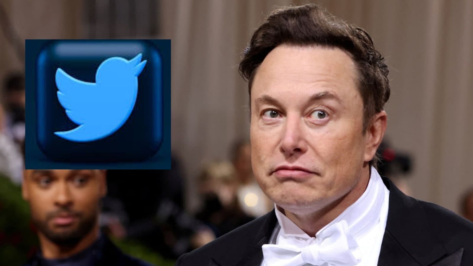 அதிகாரம் மக்களிடம் இருக்க வேண்டும்..! ஆனால் twitter ப்ளூ டிக்கிற்கு $8 கட்டாயம் - எலான் மஸ்க்!