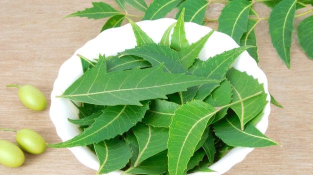  ,[object Object], வேம்பு பொதுவாக பூஞ்சை எதிர்ப்பு, பாக்டீரியா எதிர்ப்பு பண்புகள் கொண்டதாக மக்களால் அறியப்படுகிறது, ஆனால் வேப்ப இலைகள் நீரிழிவு நோயையும் கட்டுப்படுத்தும் என்று NCBI ஆராய்ச்சியில் நிரூபிக்கப்பட்டுள்ளது.  அதிகாலையில் வேப்பிலைகளை மென்று சாப்பிடுவதால் இரத்தத்தில் சர்க்கரையின் அளவு அதிகரிக்காது மற்றும் கணையம் தன் வேலையைச் சரியாகச் செய்கிறது, இதன் காரணமாக இயற்கையான செயல்முறை மூலம் இன்சுலின் உற்பத்தி செய்யப்படுகிறது. இரத்த சர்க்கரையை கட்டுப்படுத்த உதவும் வேப்பிலைகளில் இதுபோன்ற பல கலவைகள் கண்டறியப்பட்டுள்ளன.