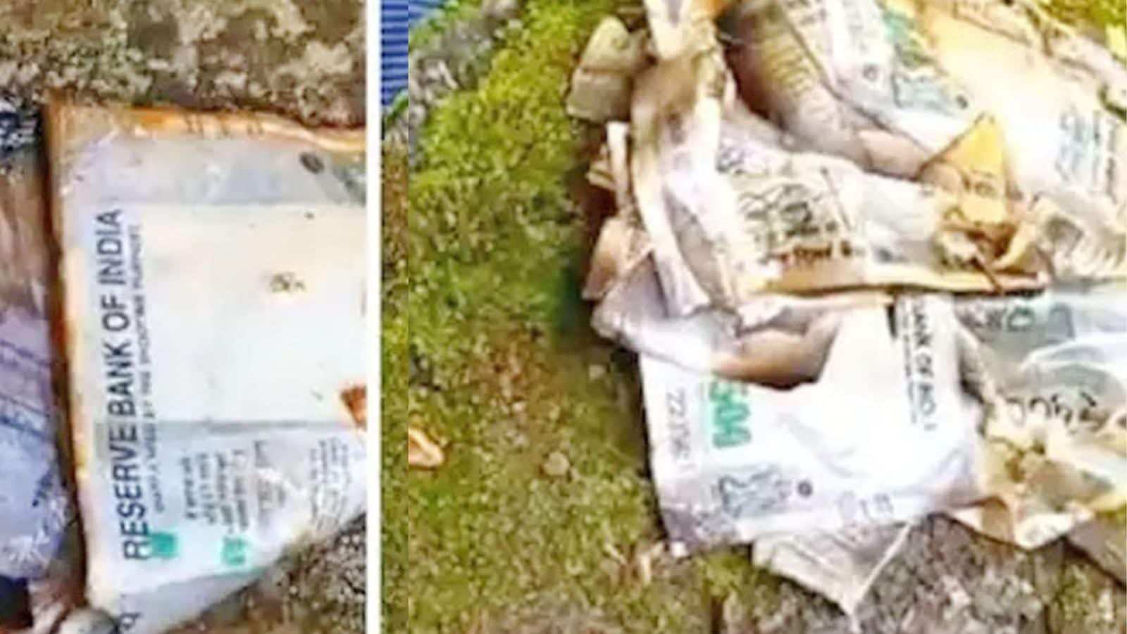 தண்ணீர் தொட்டியில் மிதந்த பாதி எரிந்த 500 ரூபாய் நோட்டுகள்... போலீஸ் விசாரணையில் திடுக்கிடும் தகவல்!