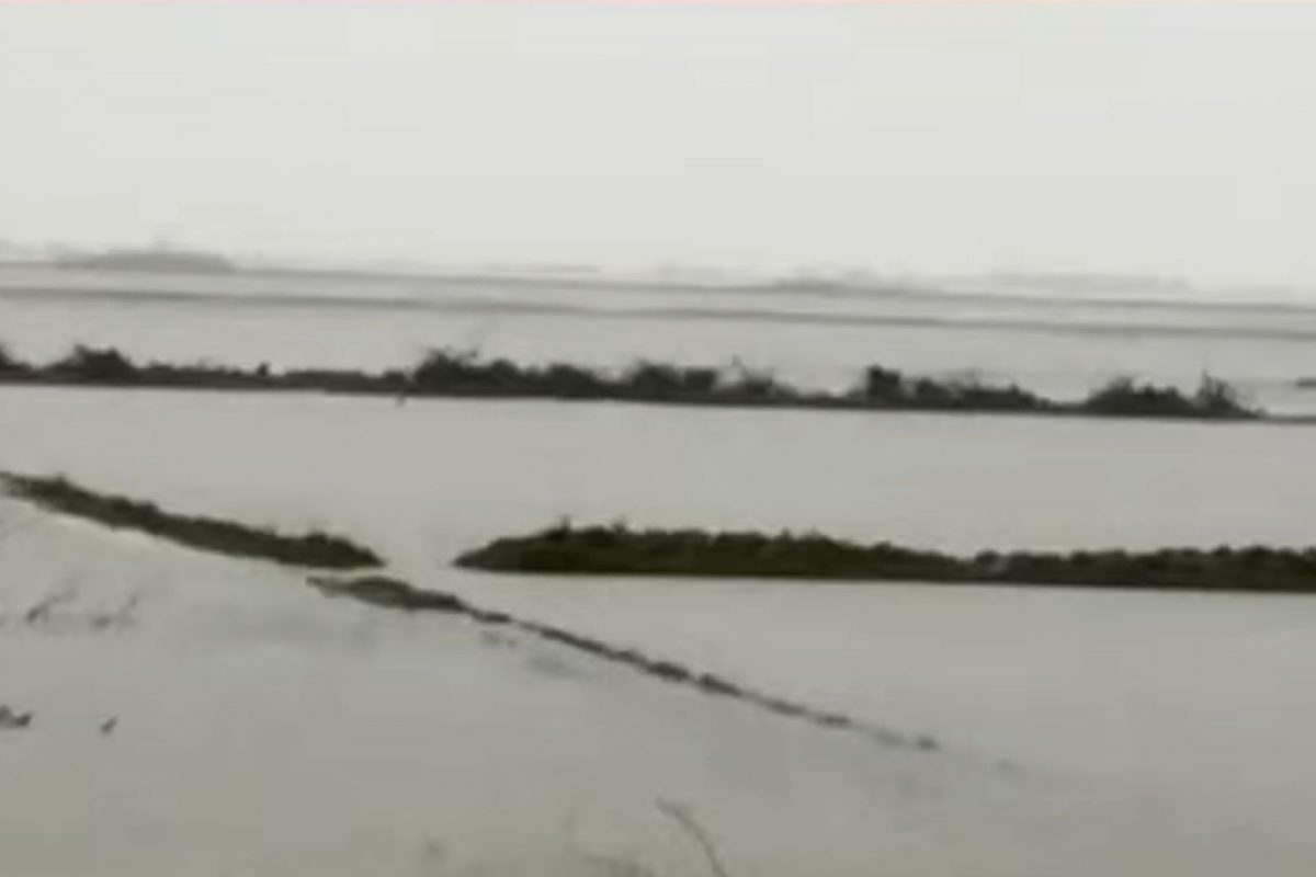 தொடர் மழையால் தீவு போல் காட்சியளிக்கும் சீர்காழி.. விவசாயிகள் வேதனை!