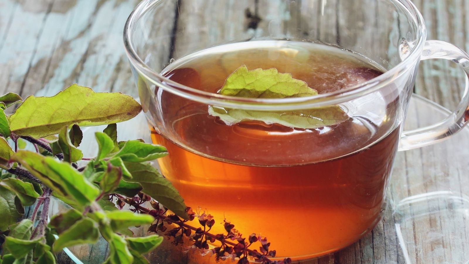 சளியை சட்டுனு விரட்ட துளசி, புதினா டீயை குடிங்க.!