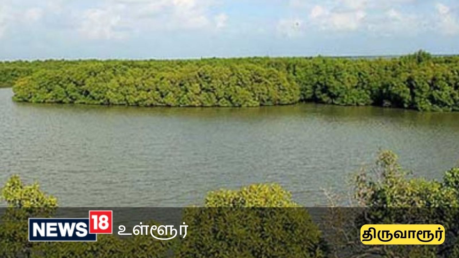 திருவாரூர் மாவட்டம் அலையாத்தி காடுகளுக்கு சுற்றுலா பயணிகள் செல்ல தடை