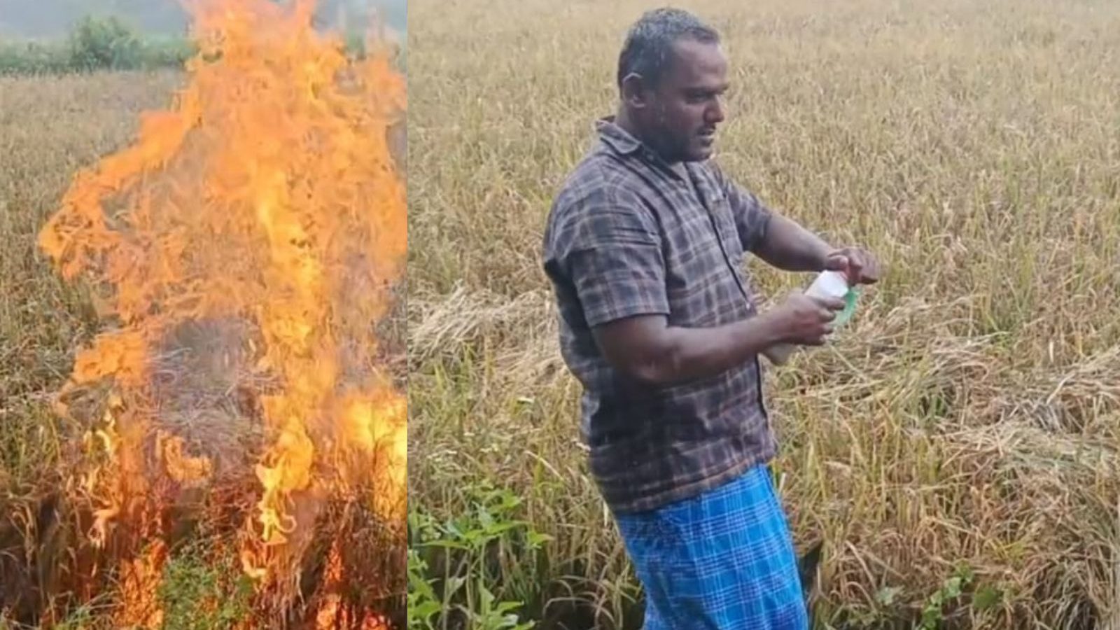 கடன்வாங்கி விவசாயம்.. மொத்தமா போச்சு.. தீயிட்டு கொளுத்திய விவசாயி.. வேலூரில் சோகம்!