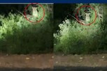 பண்ணாரி சோதனை சாவடியில் சிறுத்தை நடமாட்டம்..