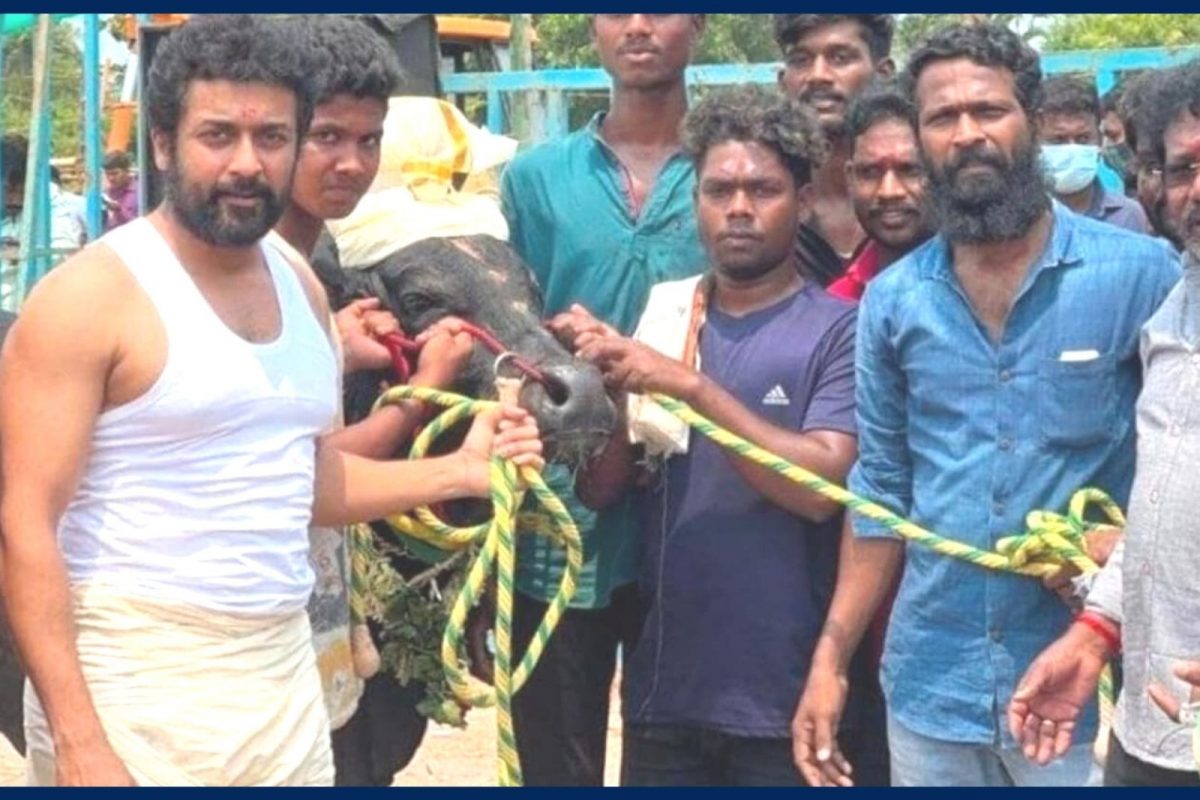 சூர்யா - வெற்றிமாறன் 