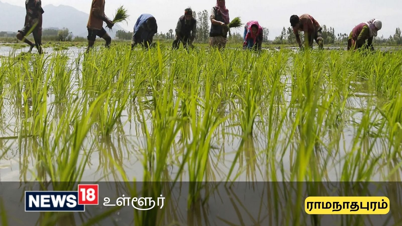 ராமநாதபுரம் மாவட்ட விவசாயிகளுக்கு பயிர்க்கடன் குறித்த முக்கிய அறிவிப்பு