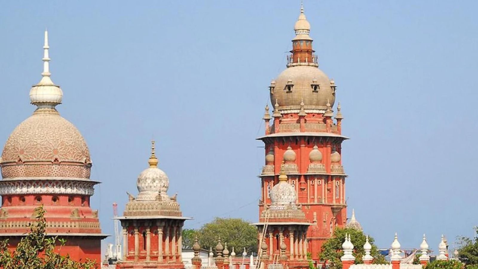 வரி ஏய்ப்பில் ஈடுபடும் நிறுவனங்கள் மீது குற்றவியல் நடவடிக்கை எடுக்க வேண்டும் - சென்னை உயர் நீதிமன்றம் அதிரடி உத்தரவு