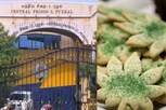 புழல் சிறையில் கணவனுக்கு கஞ்சா சப்ளை செய்ய முயன்ற மனைவி..