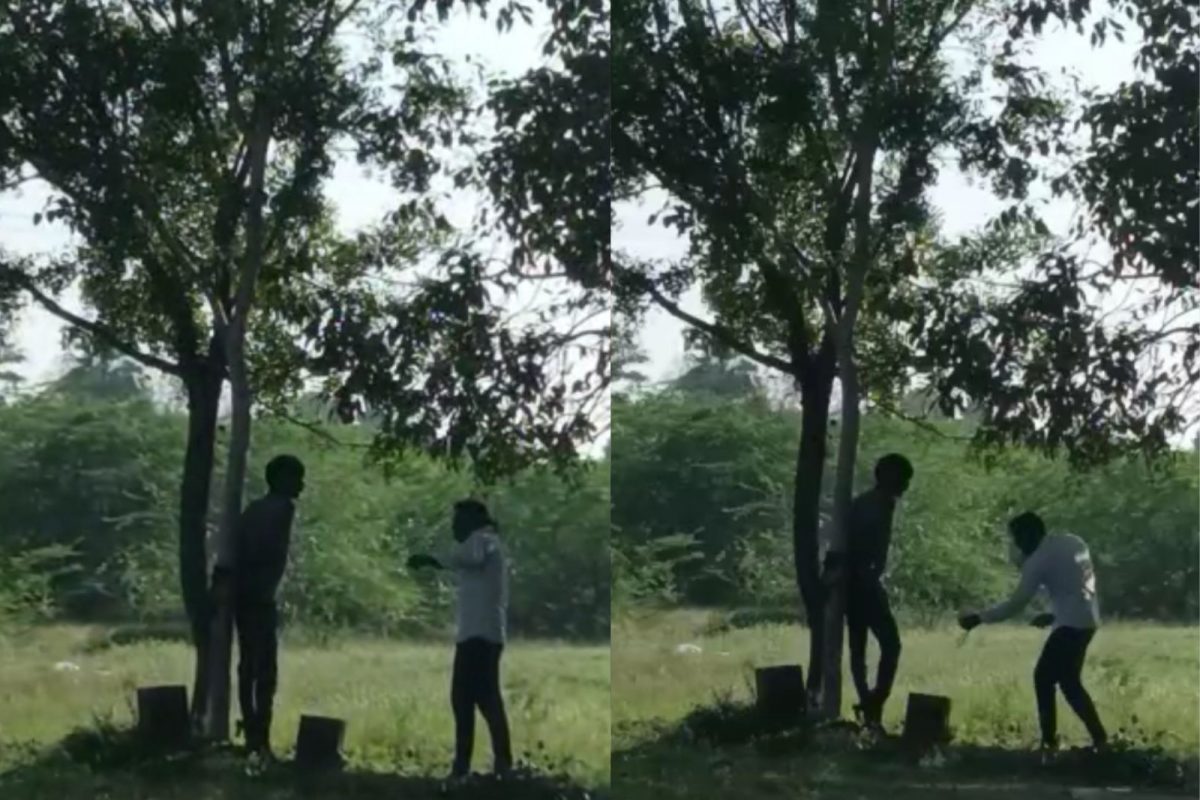 இளைஞரை மரத்தில் கட்டி வைத்து அடிக்கு காட்சி