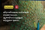 விராலிமலை மயில்கள் சரணாலயம்.. ஆச்சரியப்படுத்தும் சுற்றுலா தலம்..