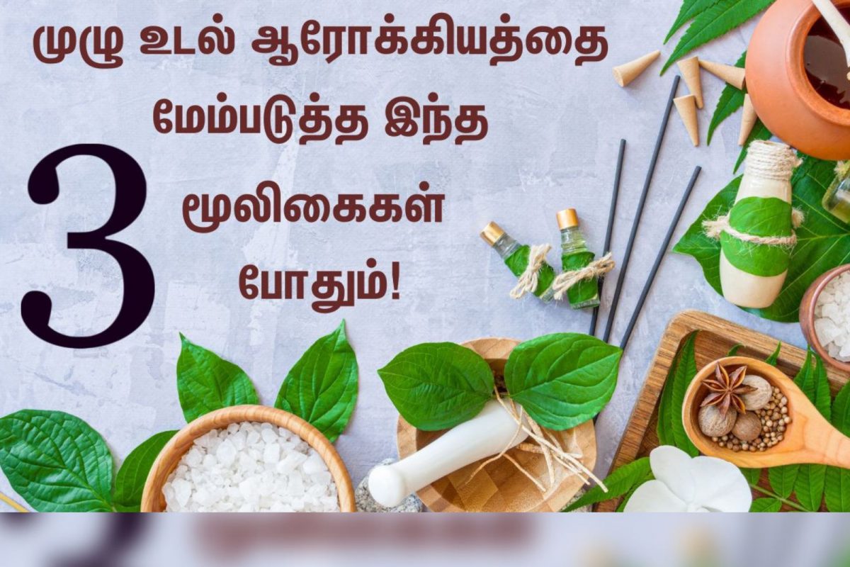 உடல் ஆரோக்கியத்திற்கு சக்தி வாய்ந்த 3 ஆயுர்வேத மூலிகைகள்.!