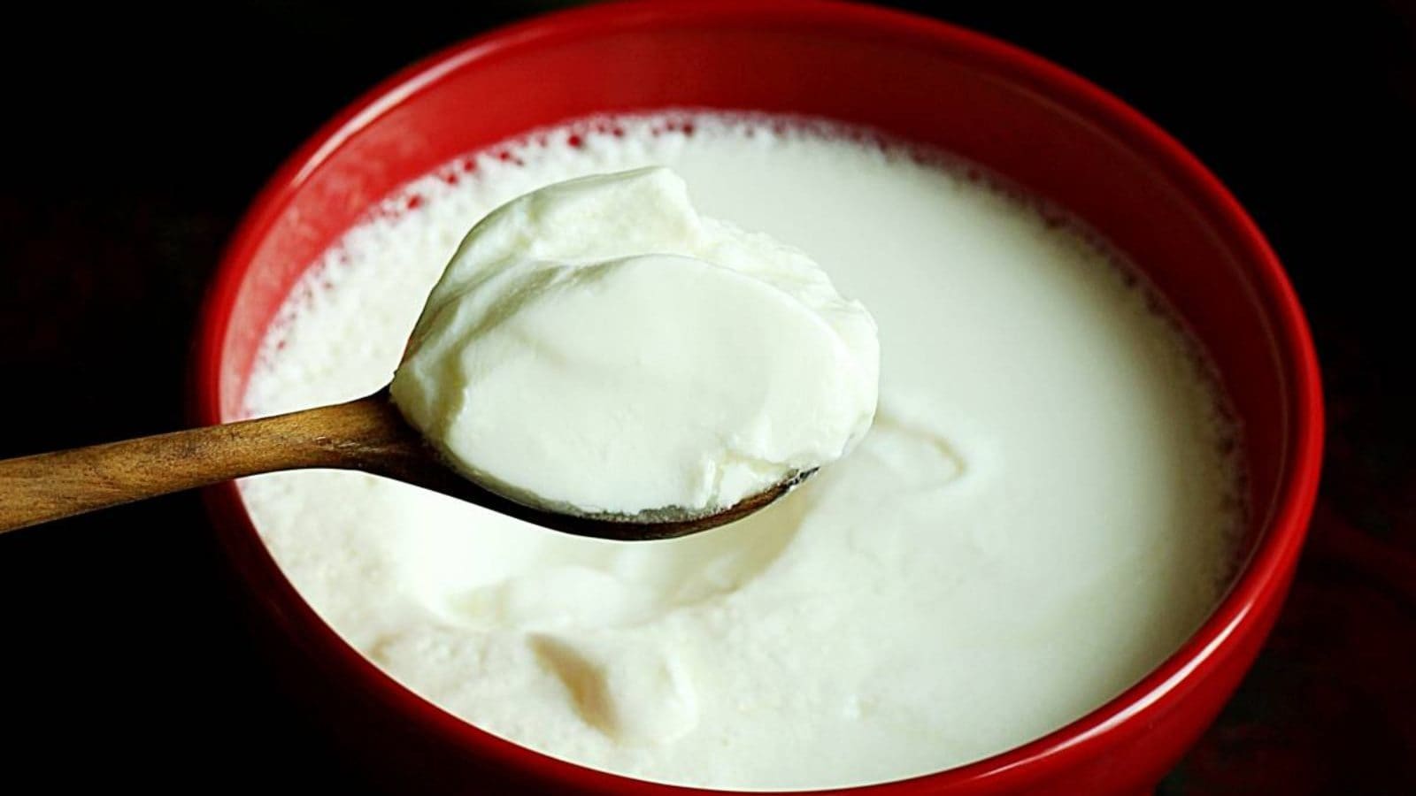 இந்த 9 உணவுகளுடன் சேர்த்து தயிரை சாப்பிடாதீர்கள்...