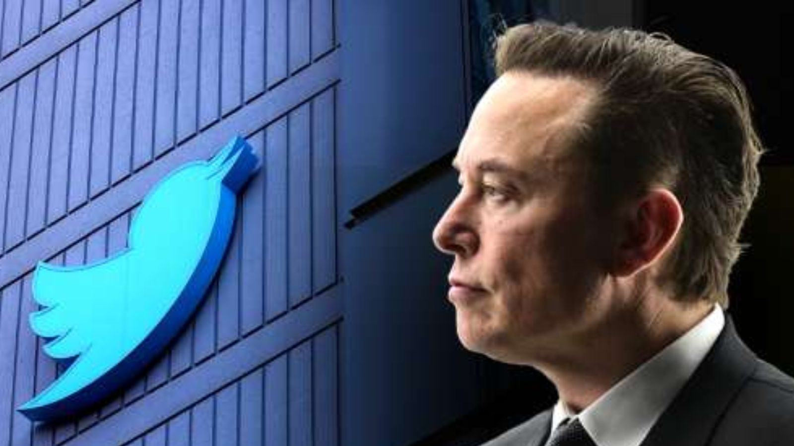 ட்விட்டர் பணியாளர்கள் நீக்கத்தில் பாலின பாகுபாடு - எலான் மஸ்க் மீது முன்னாள் ஊழியர்கள் வழக்கு!