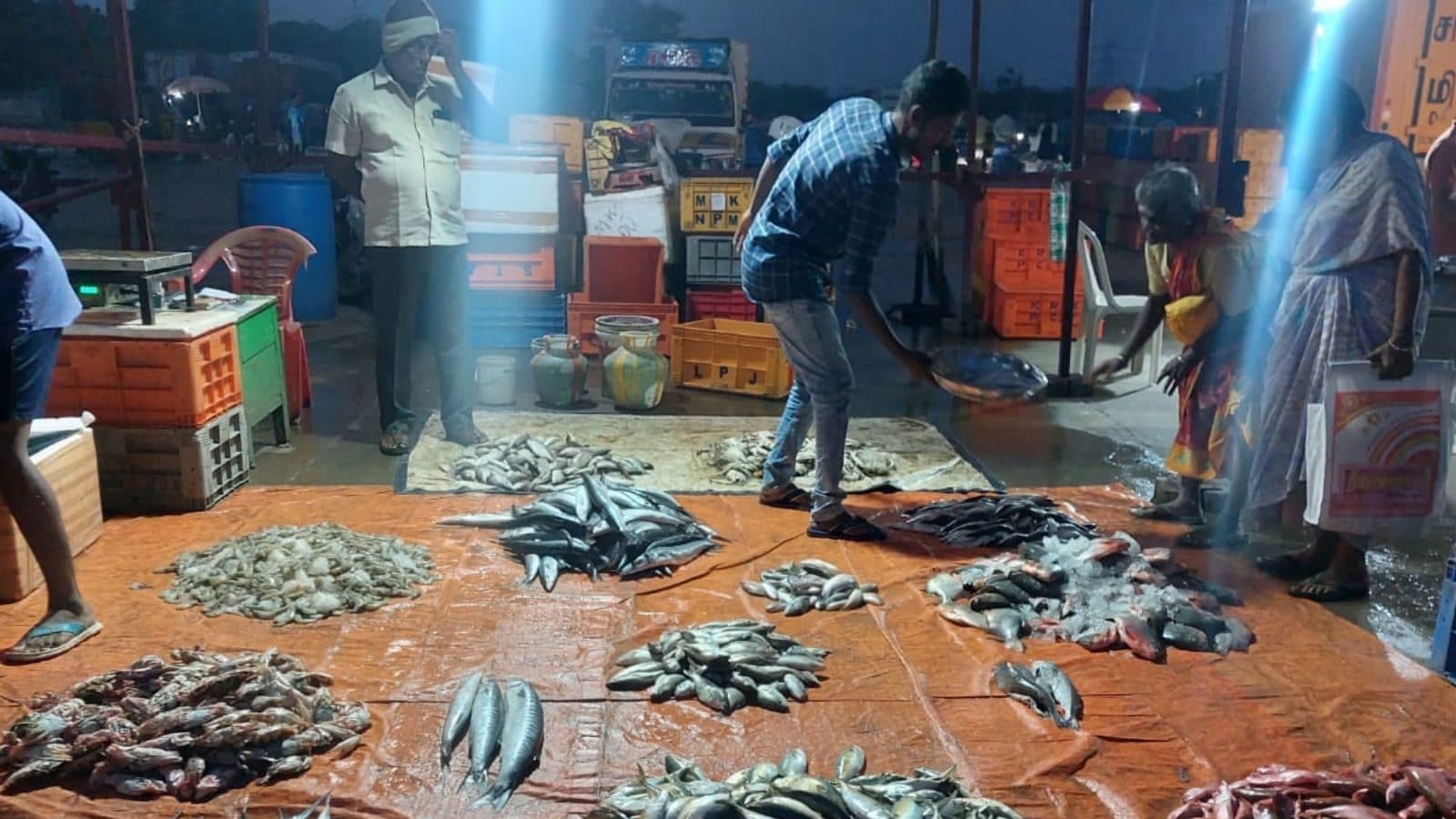 நடுராத்திரியில் பரபர மீன் விற்பனை! மதுரையில் பேமஸ் ஆகும் மிட்நைட் மீன் மார்க்கெட்..!