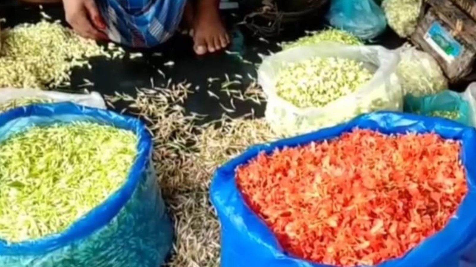 கார்த்திகை தீபத்திருவிழா.. ஒரே நாளில் மதுரையில் கிடுகிடுவென உயர்ந்த பூக்களின் விலை!