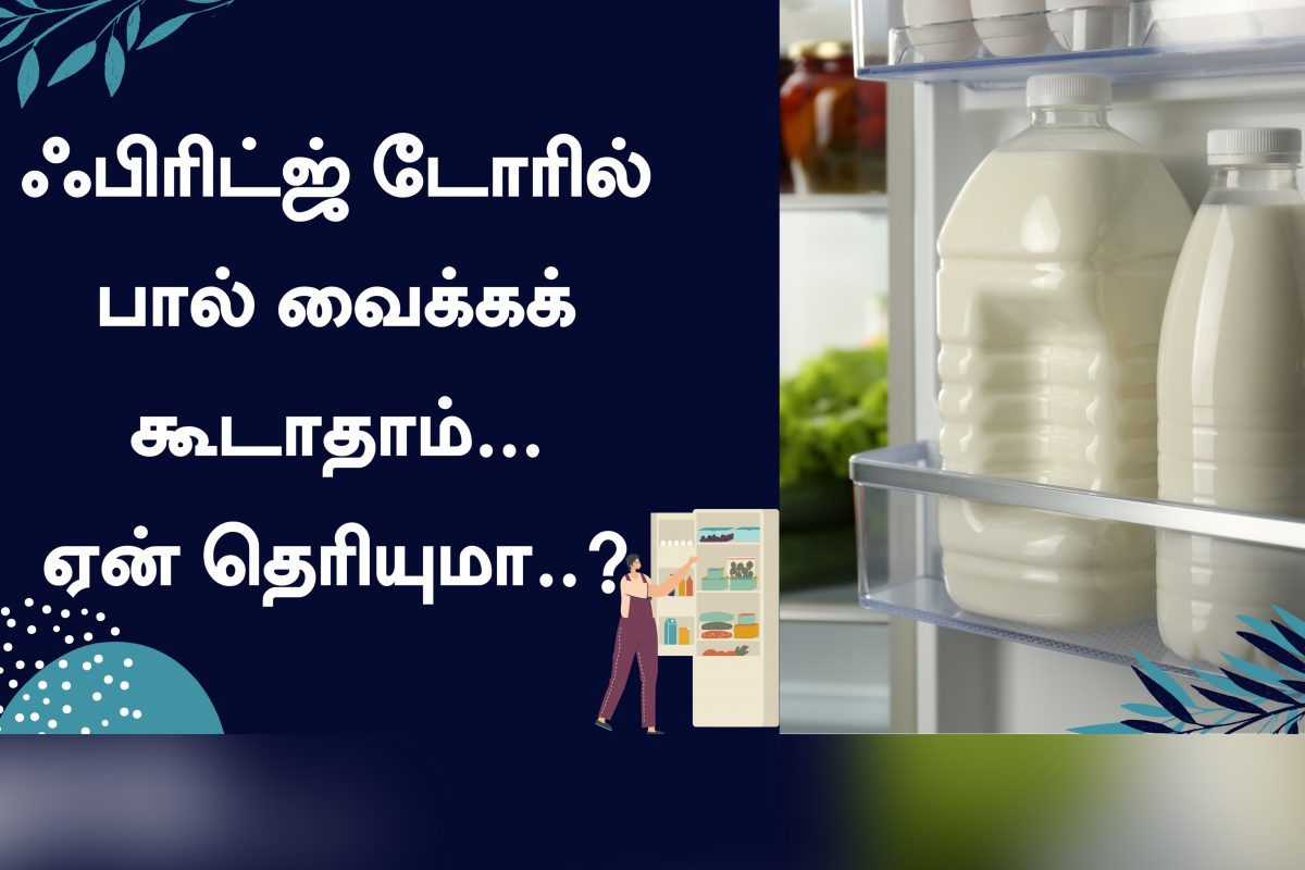 ஃபிரிட்ஜ் டோரில் பால் வைக்கக் கூடாது..! ஏன் தெரியுமா..?