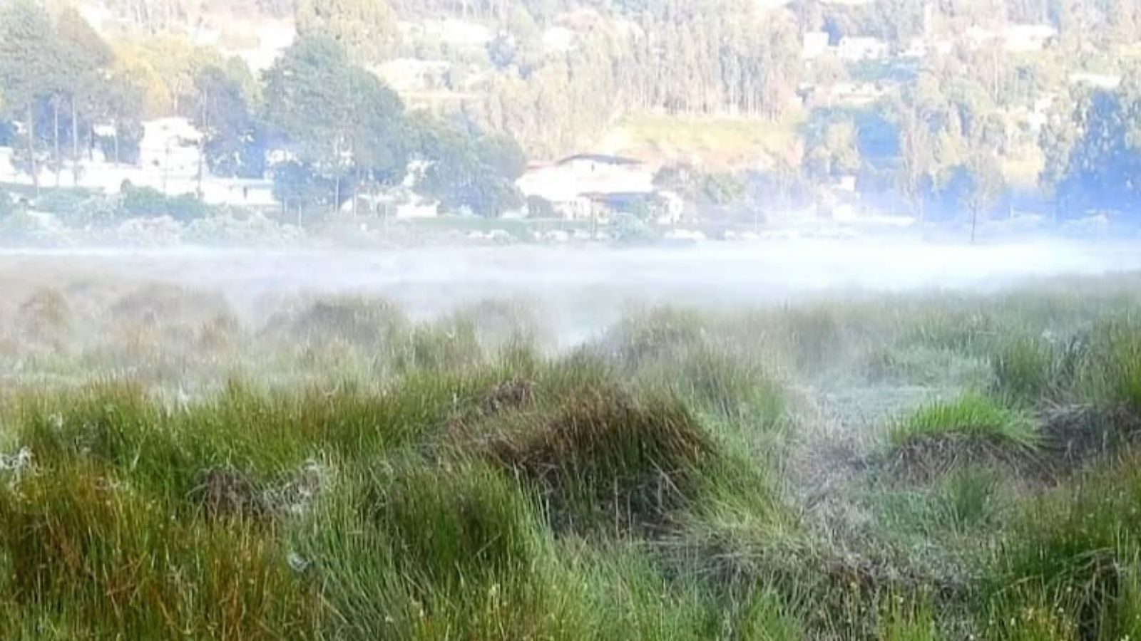 அனல் மேலே பனித்துளி.. பனியில் உறைந்த கொடைக்கானல்..பார்த்தாலே குளிரும் போட்டோஸ்!