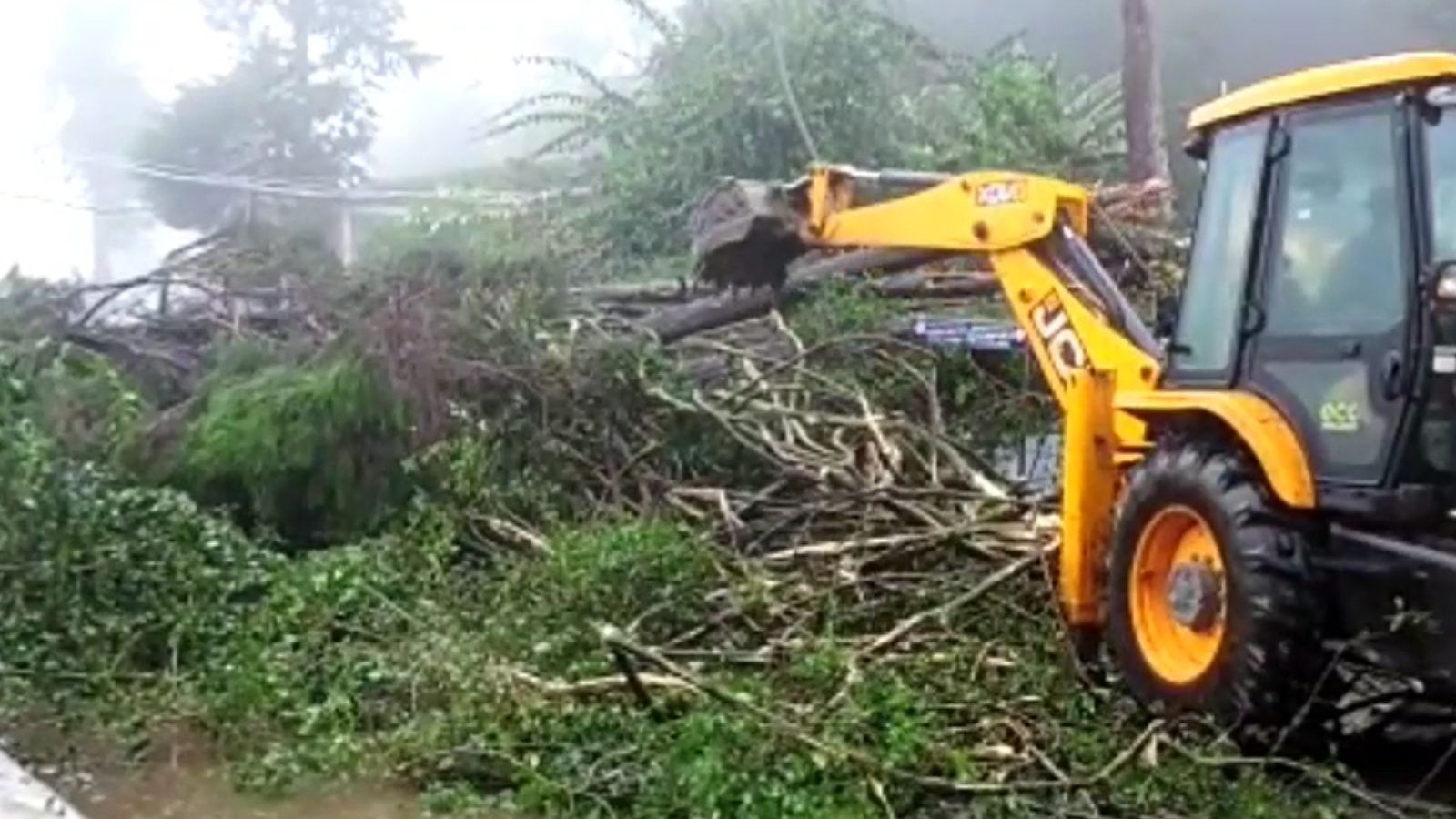 மாண்டஸ் புயல்..! முறிந்து விழும் மரங்கள்..! ஹோட்டல்களில் முடங்கிய சுற்றுலா பயணிகள்..  வெறிச்சோடிய கொடைக்கானலில்