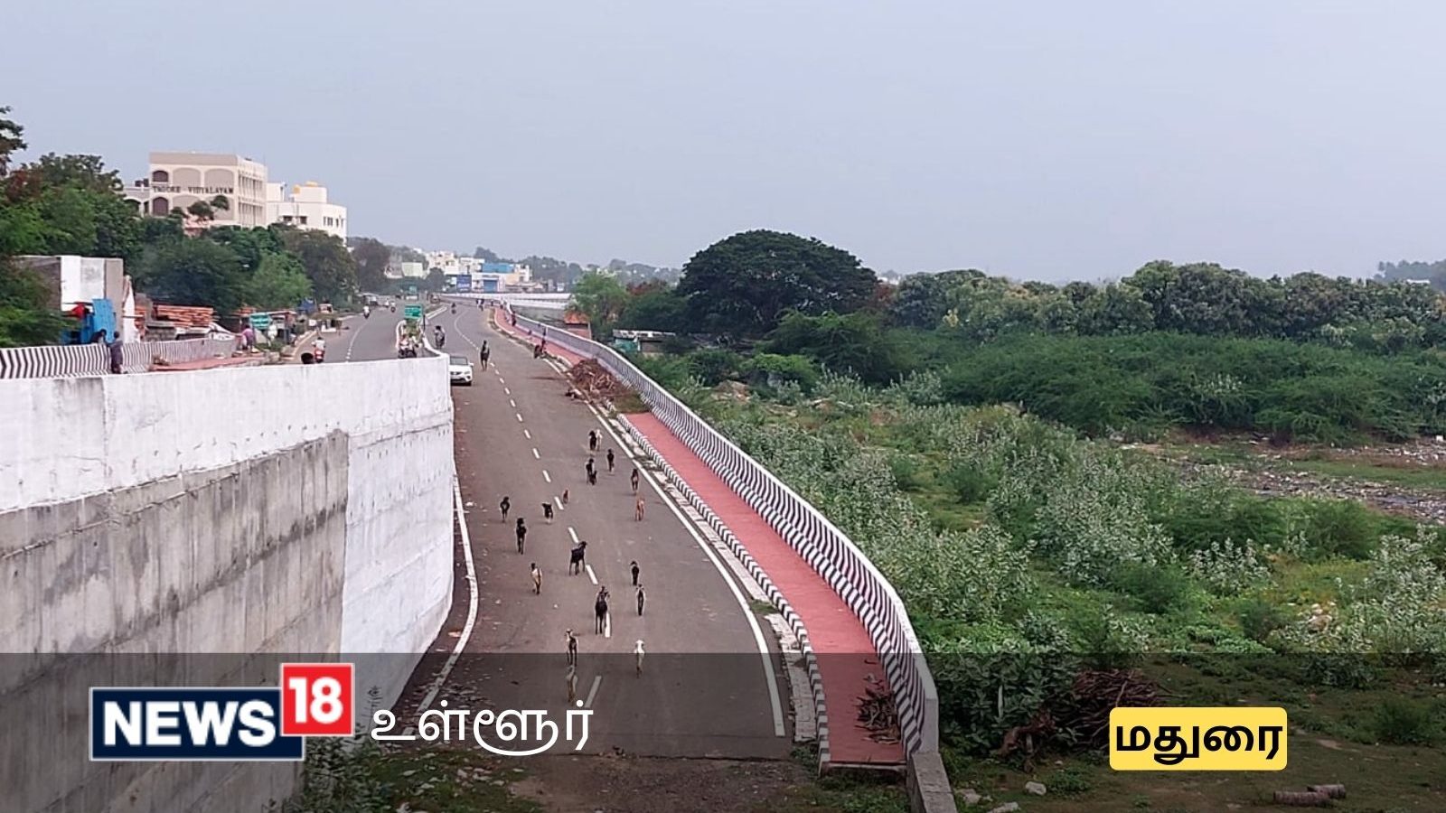 மதுரை வைகை கரையோரம் கிடப்பில் போடப்பட்ட நெடுஞ்சாலை- பணிகள் நிறைவு பெறுவது எப்போது?