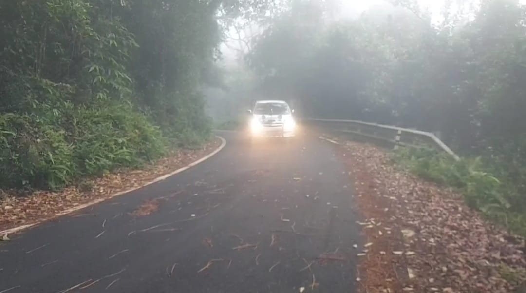  ஒரு சில‌ நாள் ம‌ட்டும் உறை ப‌னி நில‌விய‌ நிலையில் த‌ற்போது நீர்பிடிப்பு ப‌குதிக‌ளான‌ ஏரிச்சாலை, வெள்ளி நீர்வீழ்ச்சி, பாம்பார்புர‌ம், குறிஞ்சிந‌க‌ர் ப‌குதிக‌ளில் நீர் பனி நிலவி வருகிறது.