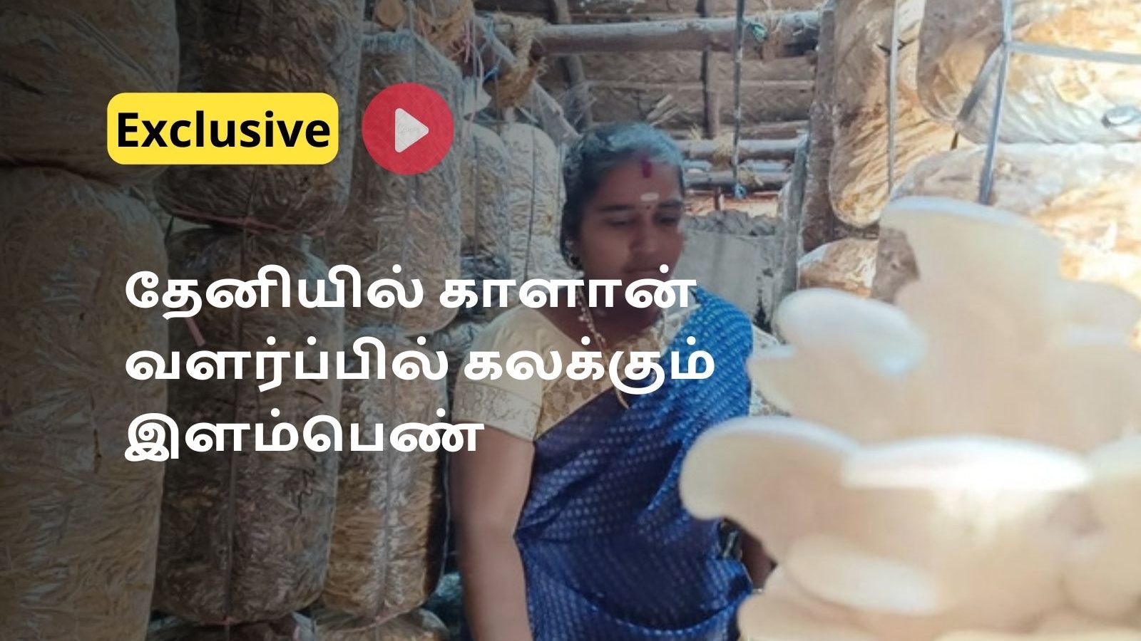 மாதம் ரூ.50,000 வரை சம்பாதிக்கலாம்... கம்பத்தில் காளான் வளர்ப்பில்