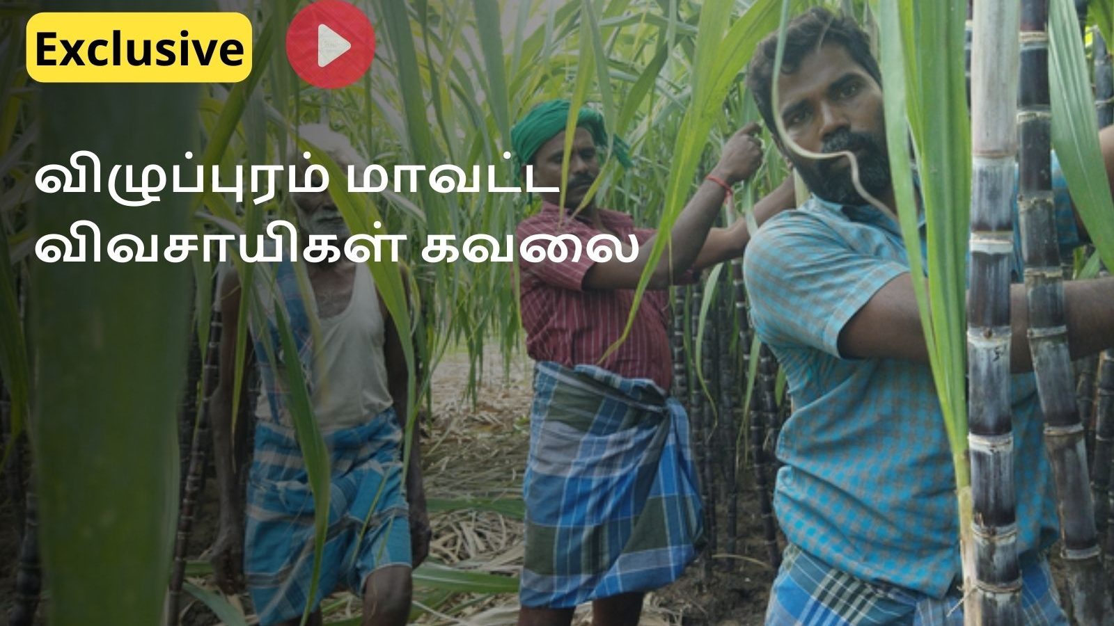 பொங்கல் பரிசு தொகுப்பில் கரும்பு சேர்க்காததால் விழுப்புரம் விவசாயிகள் கவலை.. 