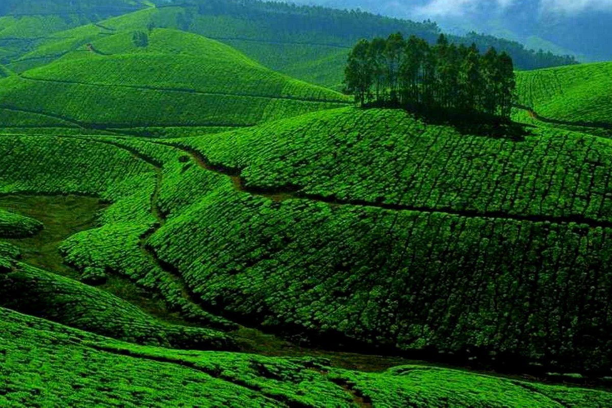  கோவையில் இருந்து சுமார் 123 கி.மீ தொலைவிலும், வால்பாறையில் இருந்து 14 கி.மீ தொலைவிலும், பொள்ளாச்சியில் இருந்து ஏறத்தாழ 79 கி.மீ தொலைவிலும் அமைந்துள்ள அழகிய சின்னக் கல்லாறு அருவி.