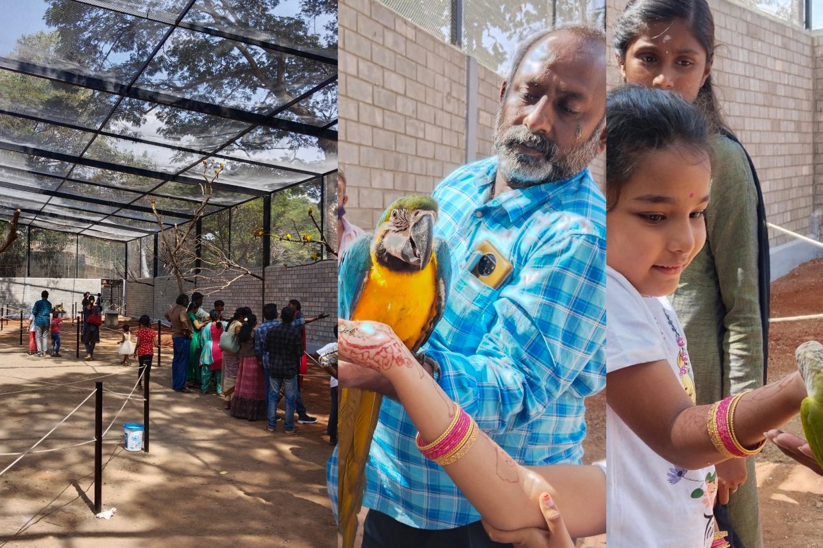வெளிநாடுகளுக்கு சவால் விடும் தஞ்சை ராஜாளி பறவைகள் பூங்கா..