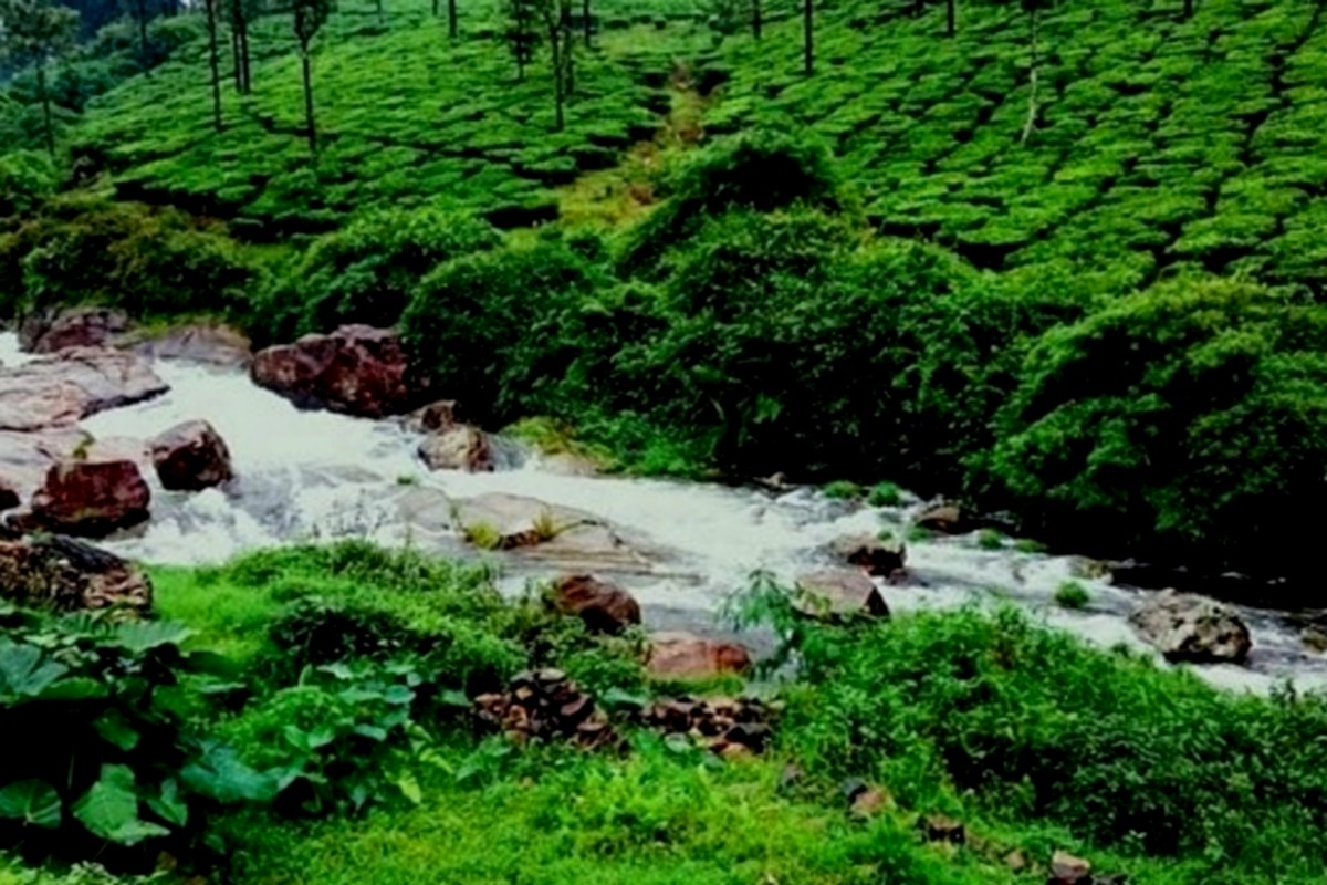  கூழாங்கல் நிறைந்திருக்கும் இநத் ஆற்றையும், அங்கிருக்கும் பசுமையையும், இதமான் சூழலையும் எவ்வளவு நேரம் பார்த்தாலும் சலிக்காது. அங்கிருந்து கிளம்பவும் மனம்வாராது அவ்வளவு அழகாக இருக்கும்.
